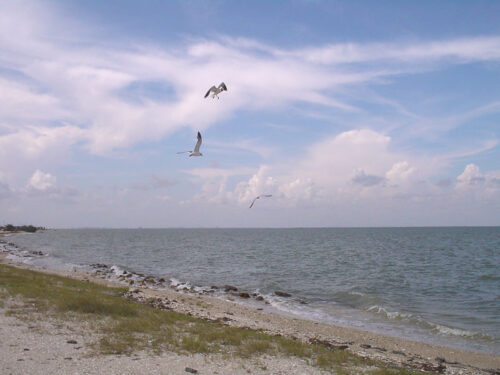 GREAT CHANCE AWAITS! OCEANFRONT PROPERTY ON MAGNOLIA BEACH, TEXAS, ONLY $9,775, WITH MONLTHY PAYMENTS OF $249! RARE FIND! INVESTMENT OPPORTUNITY!