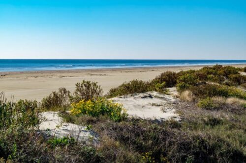 BREATHTAKING OCEANVIEW LOT IN MAGNOLIA BEACH, CALHOUN COUNTY, TEXAS, JUST  $12,775/ $249 A MONTH. FINISHING, CAMPING, RVS. INVEST IN YOUR FUTURE! NO CREDIT CHECKS!