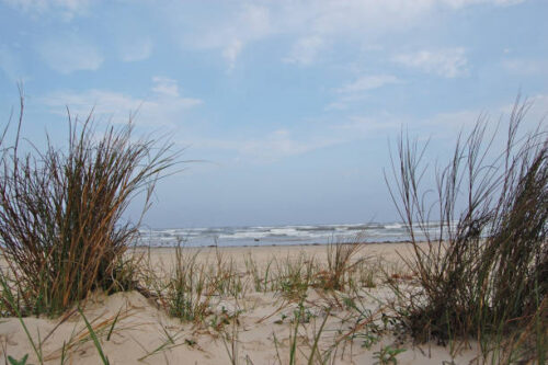 EXCEPTIONAL TEXAS PROPERTY ONLY MINUTES AWAY FROM THE BEACH $12,999/$249 A MONTH! RARE FIND! OCEAN VIEWS!