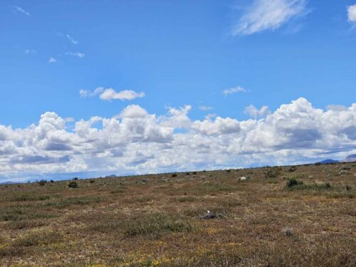NORTH EDWARDS, SOUTHERN CALIFORNIA LOT – INVEST NOW FOR JUST $4,995/ $199 PER MONTH! SPECIAL 50% OFF! ENJOY hiking, off-road driving, and stargazing!