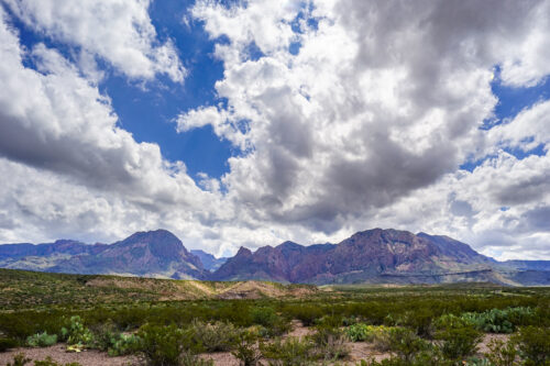 PRIME OFF-GRID INVESTMENT! SPECIAL 22ac GORGEOUS TEXAS RANCHETTE ONLY $18,995/$279month! Hiking, camping, hunting, and recreational activities!